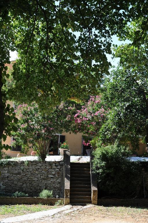 Villa Boldrini B&B Venturina Terme Exteriör bild